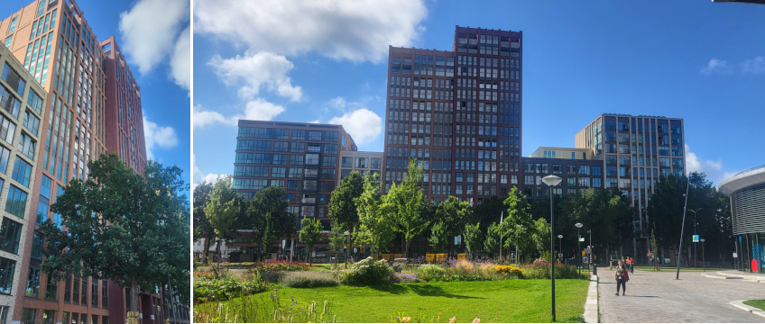 1111 848x360 De Ananas Leiden 1